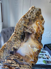 이미지를 갤러리 뷰어에 로드 , Sagenite Agate Slab with Rutile Inclusion - 416g #231