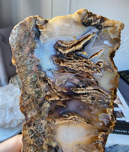 이미지를 갤러리 뷰어에 로드 , Sagenite Agate Slab with Rutile Inclusion - 416g #231