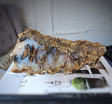 이미지를 갤러리 뷰어에 로드 , Sagenite Agate Slab with Rutile Inclusion - 429g #236