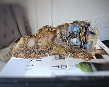 이미지를 갤러리 뷰어에 로드 , Sagenite Agate Slab with Rutile Inclusion - 366g #230