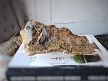 이미지를 갤러리 뷰어에 로드 , Sagenite Agate Slab with Rutile Inclusion - 366g #230