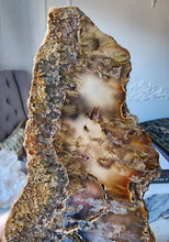 이미지를 갤러리 뷰어에 로드 , Sagenite Agate Slab with Rutile Inclusion - 366g #230