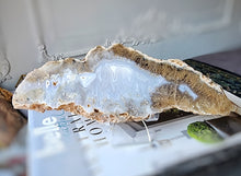 이미지를 갤러리 뷰어에 로드 , Sagenite Agate Slab with Rutile Inclusion - 446g #238