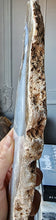 이미지를 갤러리 뷰어에 로드 , Sagenite Agate Slab with Rutile Inclusion - 446g #238