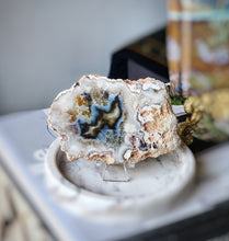 이미지를 갤러리 뷰어에 로드 , Argentina Agate Slice - small #47