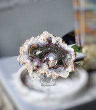 이미지를 갤러리 뷰어에 로드 , Argentina Flower Agate Slice - small #64