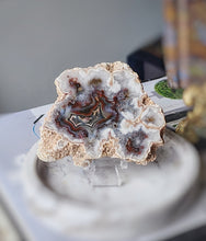 이미지를 갤러리 뷰어에 로드 , Argentina Flower Agate Slice - small #70