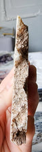 이미지를 갤러리 뷰어에 로드 , Argentina Flower Agate Slice - small #70