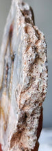 이미지를 갤러리 뷰어에 로드 , Argentina Agate Slice - small #71