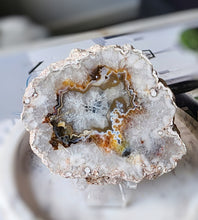 이미지를 갤러리 뷰어에 로드 , Argentina Agate Slice - small #214