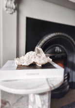 이미지를 갤러리 뷰어에 로드 , Himalayan Quartz Cluster - 781g #175