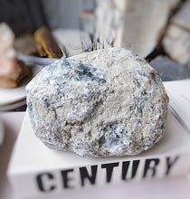 이미지를 갤러리 뷰어에 로드 , Celestite Geode Cluster - 3.27kg #124