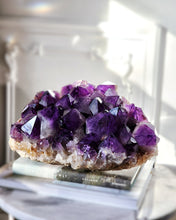 이미지를 갤러리 뷰어에 로드 , Large Congo Amethyst Cluster - 6.04kg #51