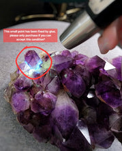 Cargar imagen en el visor de la galería, Congo Amethyst Cluster - 3.35kg #55