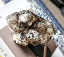 이미지를 갤러리 뷰어에 로드 , Smoky Skeleton Quartz - 1.1kg #144