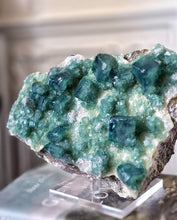 이미지를 갤러리 뷰어에 로드 , Green Fluorite Cluster - 2.24kg #41