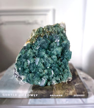 이미지를 갤러리 뷰어에 로드 , Green Fluorite Cluster - 1.86kg #88