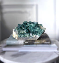 이미지를 갤러리 뷰어에 로드 , Green Fluorite Cluster - 1.73kg #89