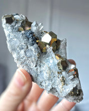 이미지를 갤러리 뷰어에 로드 , Pyrite in Clear Quartz Cluster - 230g #98