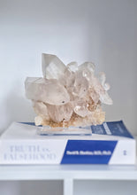 Cargar imagen en el visor de la galería, Himalayan Quartz Cluster - 1.27kg #267