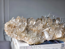 이미지를 갤러리 뷰어에 로드 , Large Golden Himalayan Quartz Cluster with Chlorite Inclusion - 6.62kg #443