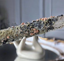 Load image into Gallery viewer, | RARE | Mongolian Quartz Point - 427g #144