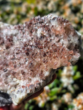 이미지를 갤러리 뷰어에 로드 , Red Phantom Quartz Cluster - 1.43kg #11
