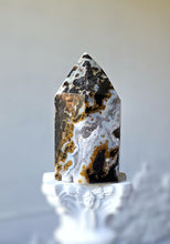 画像をギャラリービューアに読み込む, Tiger Jasper Tower - 301g #116