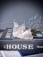 Cargar imagen en el visor de la galería, Himalayan Quartz Cluster - small 223g #496