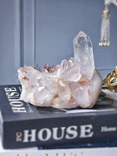 Load image into Gallery viewer, Flower Himalayan Quartz Cluster - 665g #517