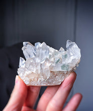 이미지를 갤러리 뷰어에 로드 , Green Phantom Himalayan Quartz Cluster - small 116g #524