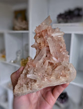 이미지를 갤러리 뷰어에 로드 , Pink Himalayan Quartz Cluster - 470g #526