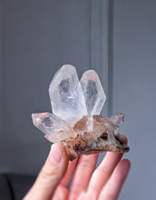 Load image into Gallery viewer, | The Rabbit | Smoky Himalayan Quartz Cluster - 203g #532