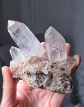 Load image into Gallery viewer, | The Rabbit | Smoky Himalayan Quartz Cluster - 203g #532