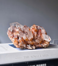 画像をギャラリービューアに読み込む, Pineapple Red Hematoid / Fire Quartz Cluster - 1.27kg #105