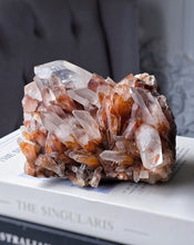 画像をギャラリービューアに読み込む, Pineapple Red Hematoid / Fire Quartz Cluster - 1.27kg #105