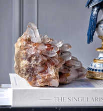 画像をギャラリービューアに読み込む, Pineapple Red Hematoid / Fire Quartz Cluster - 1.27kg #105