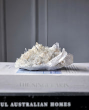 Lade das Bild in den Galerie-Viewer, Himalayan Lemurian Quartz Cluster - 260g #547