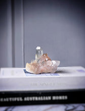 Lade das Bild in den Galerie-Viewer, Green Phantom Pink Himalayan Quartz Cluster - small 185g #550