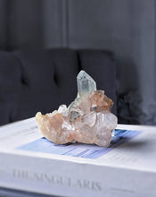 Lade das Bild in den Galerie-Viewer, Green Phantom Pink Himalayan Quartz Cluster - small 185g #550