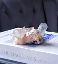 Lade das Bild in den Galerie-Viewer, Green Phantom Pink Himalayan Quartz Cluster - small 185g #550