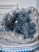 Load image into Gallery viewer, Large High Grade Celestite Geode / Cluster on Wooden Hand Painted Stand - 11.73kg #17