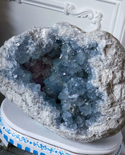 Load image into Gallery viewer, Large High Grade Celestite Geode / Cluster on Wooden Hand Painted Stand - 11.73kg #17