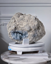 Load image into Gallery viewer, Large High Grade Celestite Geode / Cluster on Wooden Hand Painted Stand - 11.73kg #17