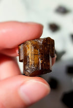 이미지를 갤러리 뷰어에 로드 , Golden Tourmaline Raw Stones / Mini Pieces - 50g Pack