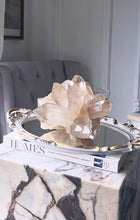 이미지를 갤러리 뷰어에 로드 , Smoky Pink Himalayan Quartz Cluster - 3.24kg #468