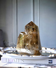 이미지를 갤러리 뷰어에 로드 , Smoky Citrine Quartz Twin Tower - 2.43kg #324