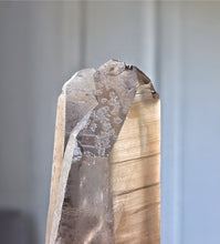 画像をギャラリービューアに読み込む, Smoky Lemurian Seed Quartz - 195g #358