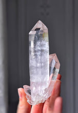 Load image into Gallery viewer, Lemurian Seed Quartz Cluster on Gold Stand - 191g #113