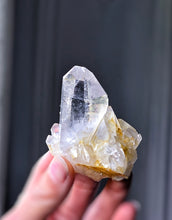 Load image into Gallery viewer, High Grade Golden Healer Quartz Cluster - small 81g #21